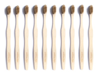 Life Without Plastic bamboo toothbrushes
