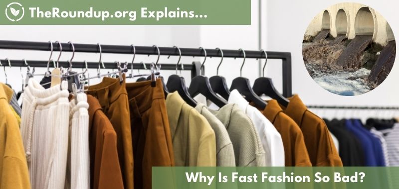 Fast Fashion: 13 Reasons Why it's So Bad - TheRoundup