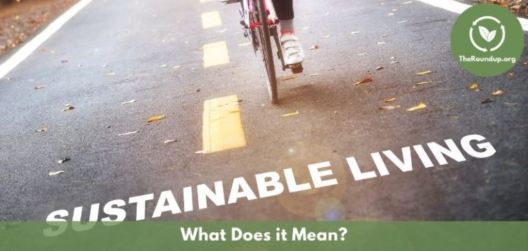 16 Reasons Why Sustainable Living Matters - TheRoundup