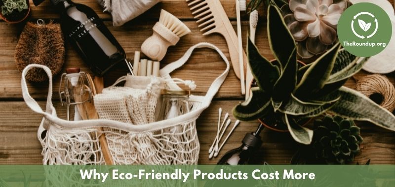 Why Sustainable Products Are More Expensive (And How To Save Money