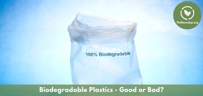 Are biodegradable bags better than plastic? It's complicated.