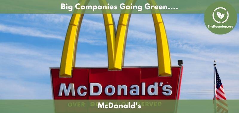 Improved sustainability in the McDonalds supply chain