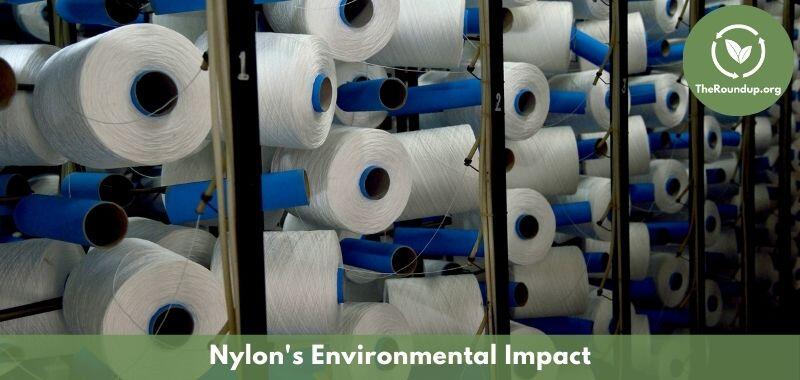 Is Nylon Eco-Friendly? Plus 9 New Sustainable Alternatives