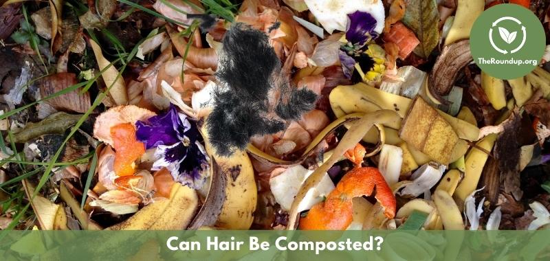 https://theroundup.org/wp-content/uploads/2022/04/hair-in-compost.jpg