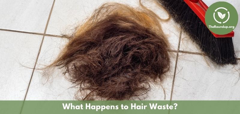 How Long Does It Take for a Hair Clog to Decompose?