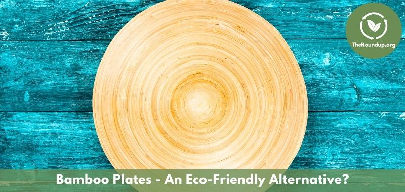 What are Eco friendly paper plates and why use them? - Ecotsy