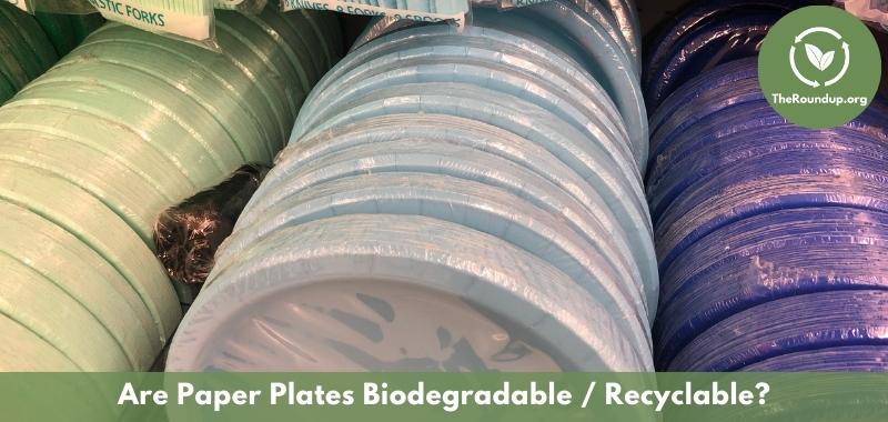 disposable paper plates