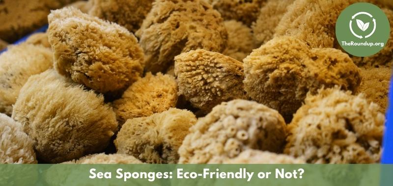 7 Surprising Ways You'll Benefit from Using Natural Sponges