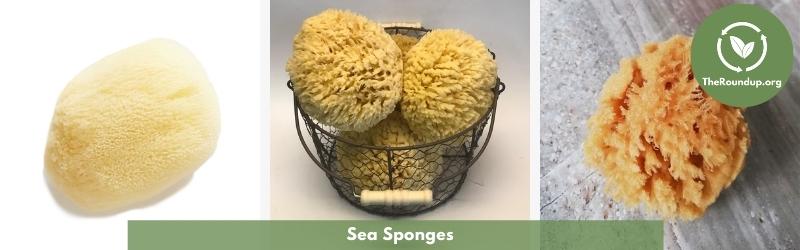 How Natural Sponges Prevent Plastic Waste