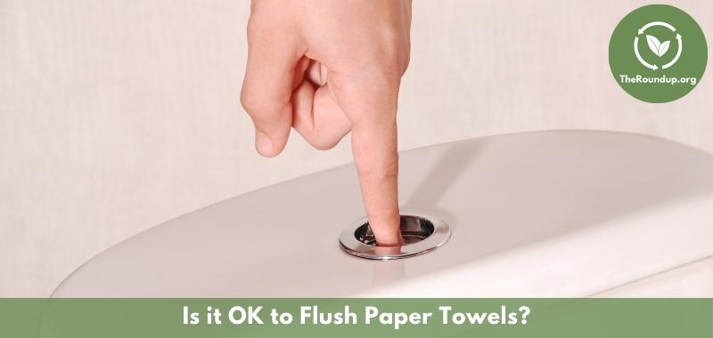 flushing paper towels