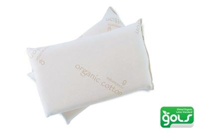 Buy Best Organic Cotton Filled Pillow, Eco Friendly Pillows