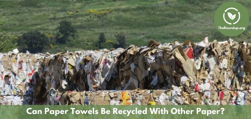 Can you compost paper towels? ⋆ Fork in the Road