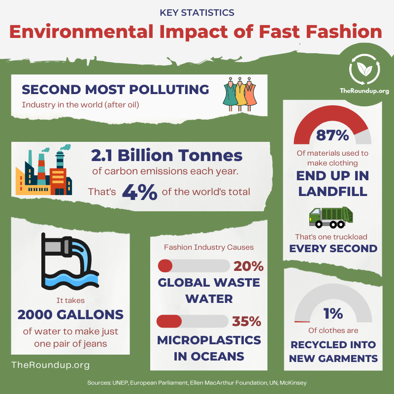 infographic: statistics of fast fashion's environmental impact
