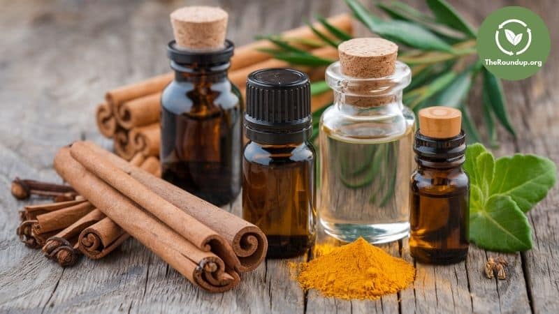Effective essential oils that keep ants away naturally