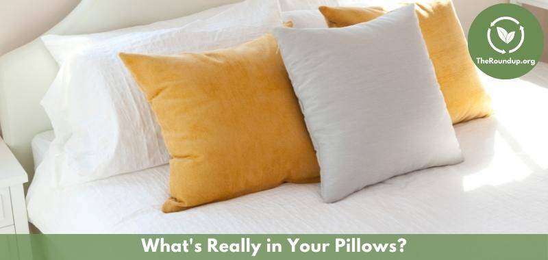 My pillow allergy outlet symptoms