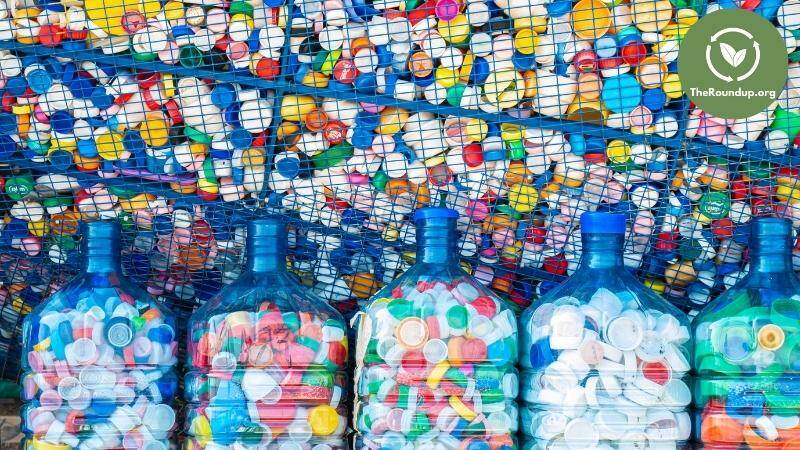 Can You Recycle Plastic Lids and Bottle Caps?