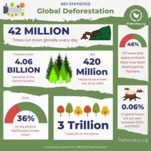 How Many Trees are Cut Down Every Day? [2024] - TheRoundup