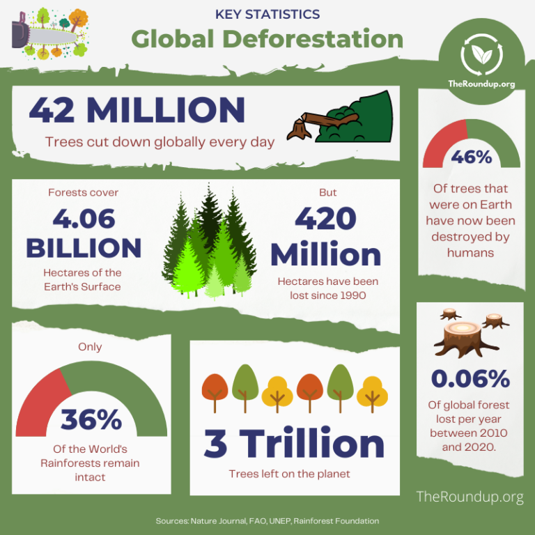 How Many Trees are Cut Down Every Day? [2024] TheRoundup