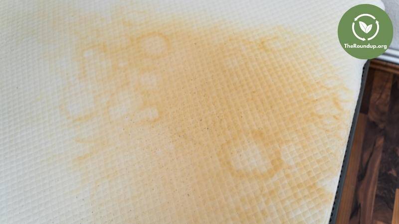 dried urine stain memory foam mattress