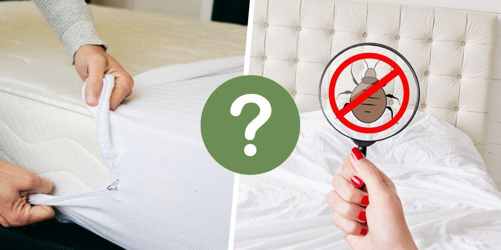 https://theroundup.org/wp-content/uploads/2023/01/mattress-cover-prevent-bed-bugs.jpg