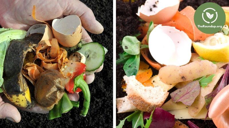egg shells in compost