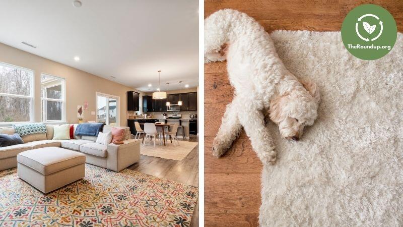 4 Best Non-Toxic Rug Pads [Organic, Eco-Friendly & Safe]