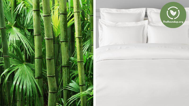 CozyLux Bamboo Sheets Queen Size, Organic Bamboo Viscose, Oeko-TEX  Certified Luxuriously Soft & Cool…See more CozyLux Bamboo Sheets Queen  Size
