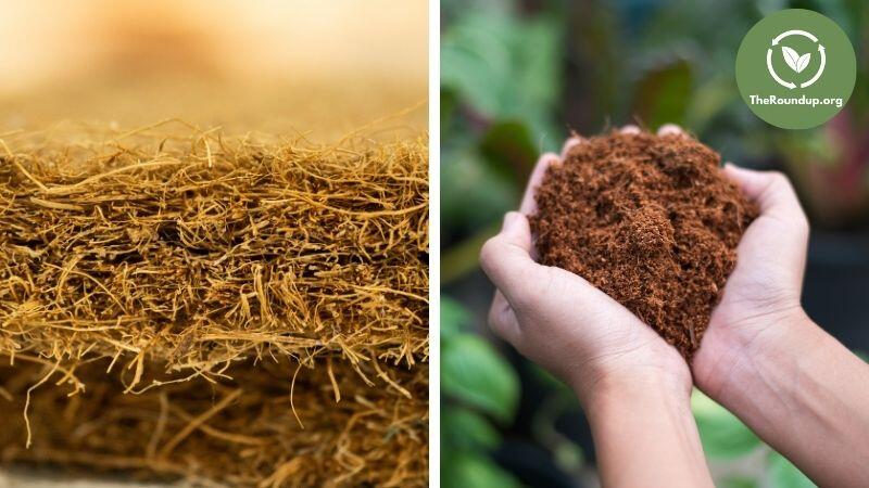 uses of coco coir in mattresses and agriculture