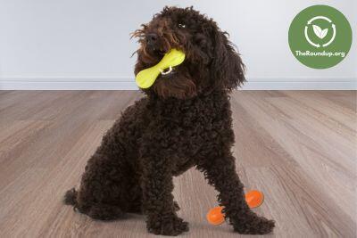 Benepaw Dog Chew Toys Treat Dispensing Dog Toys Nontoxic Pet