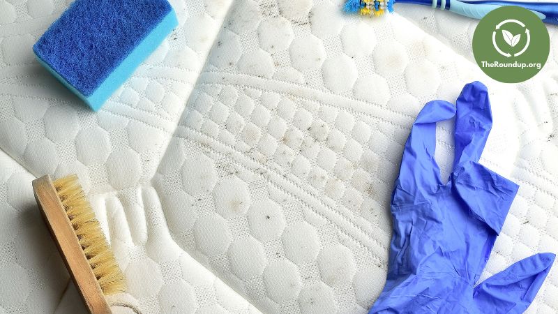 How to Clean Mattress Stains (like pee!)