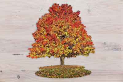 tree jigsaw amazon eco-friendly gift