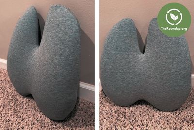 CushionLab back support pillow
