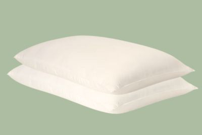 Cozy Earth eco silk pillow