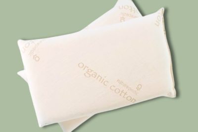 Naturepedic organic pillow product