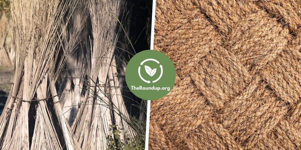 Is Jute Eco-Friendly / Sustainable? (Pros & Cons Explained)