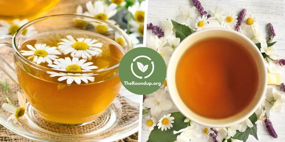 5 Soothing Organic Chamomile Tea Brands You'll Love
