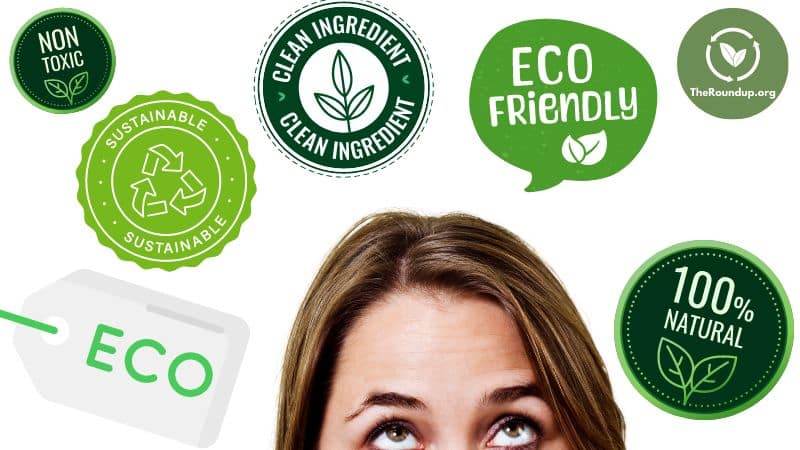 eco-friendly jargon buster terms explained
