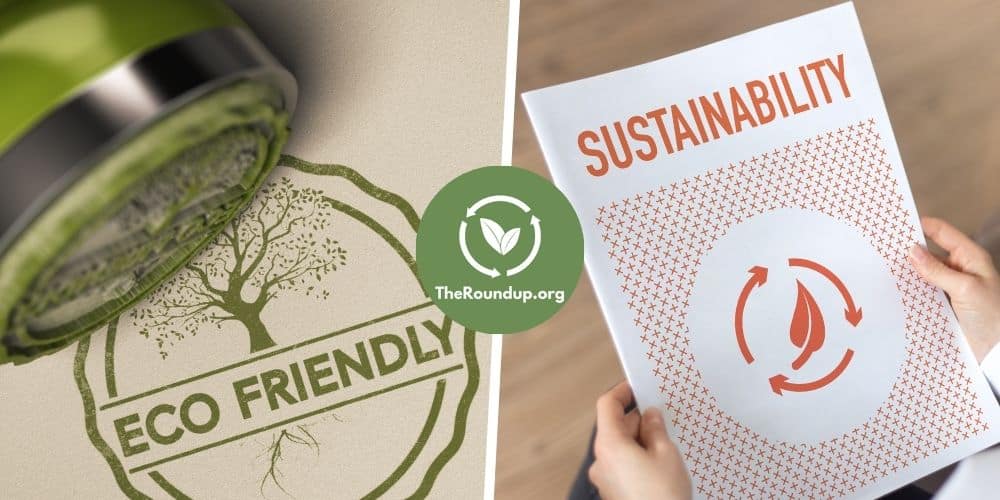 Eco-Friendly vs Sustainable: What's the Difference?