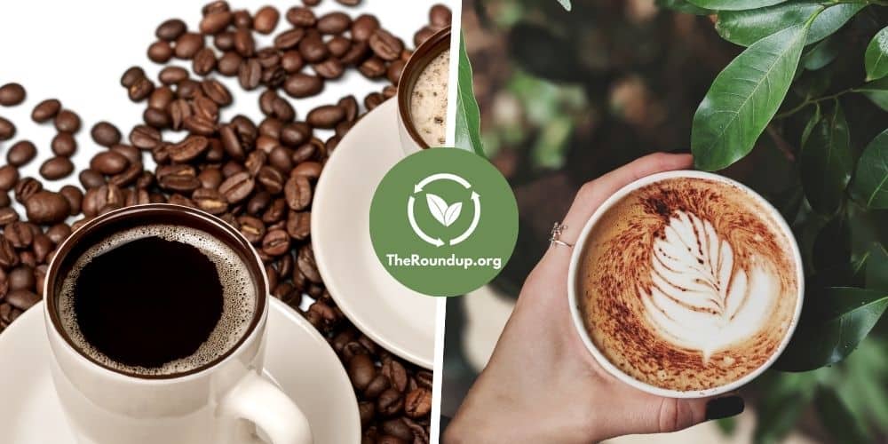 4 Best Organic Mold-Free Coffee Brands (No Mycotoxins)