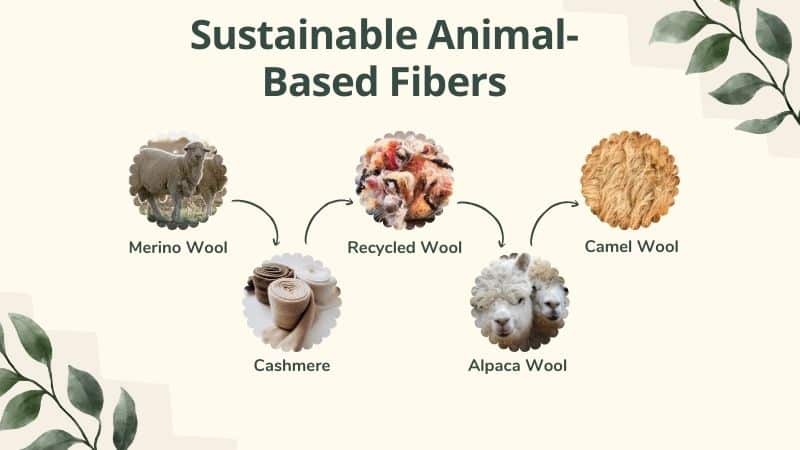 Most sustainable animal based fibers