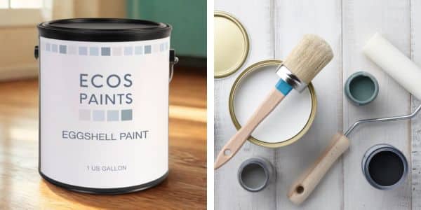 ECOS non-toxic zero VOC paoint