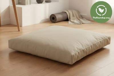 Testing the Bean Products floor cushion