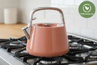Testing the Caraway tea kettle