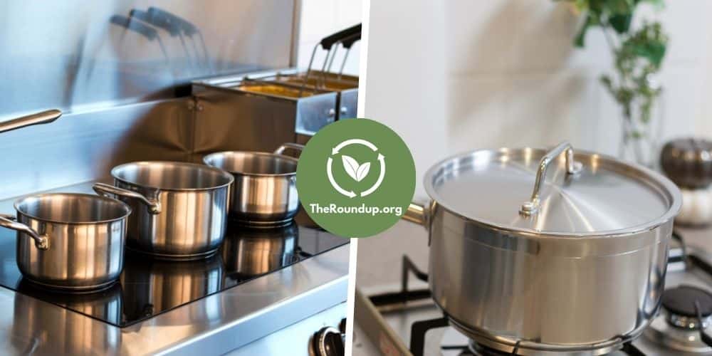 Is Stainless Steel Cookware Safe? 15+ Questions Answered