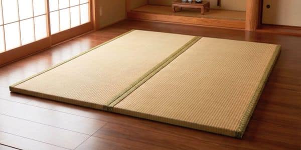 Testing the Futon Shop mat in a tatami room