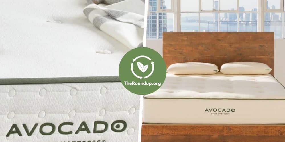 Avocado Green Mattress Review: Is it Honestly Any Good?