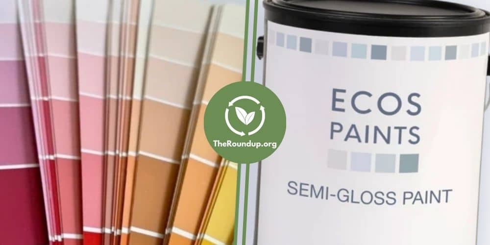 ECOS Paints Review: Is Zero-VOC Paint Worth the Price?